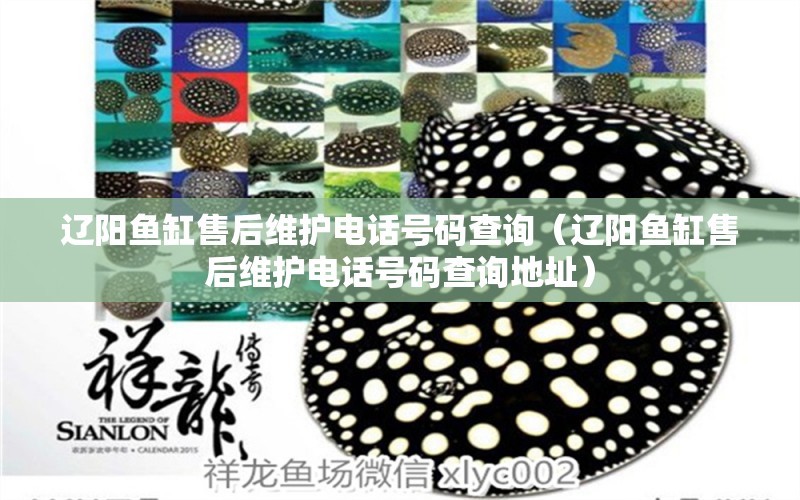 遼陽(yáng)魚缸售后維護(hù)電話號(hào)碼查詢（遼陽(yáng)魚缸售后維護(hù)電話號(hào)碼查詢地址） 其他品牌魚缸