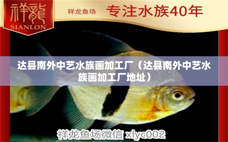 達(dá)縣南外中藝水族畫加工廠（達(dá)縣南外中藝水族畫加工廠地址） 全國水族館企業(yè)名錄