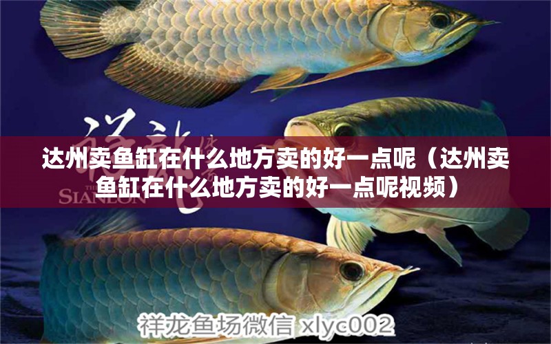 達州賣魚缸在什么地方賣的好一點呢（達州賣魚缸在什么地方賣的好一點呢視頻） 祥龍水族醫(yī)院