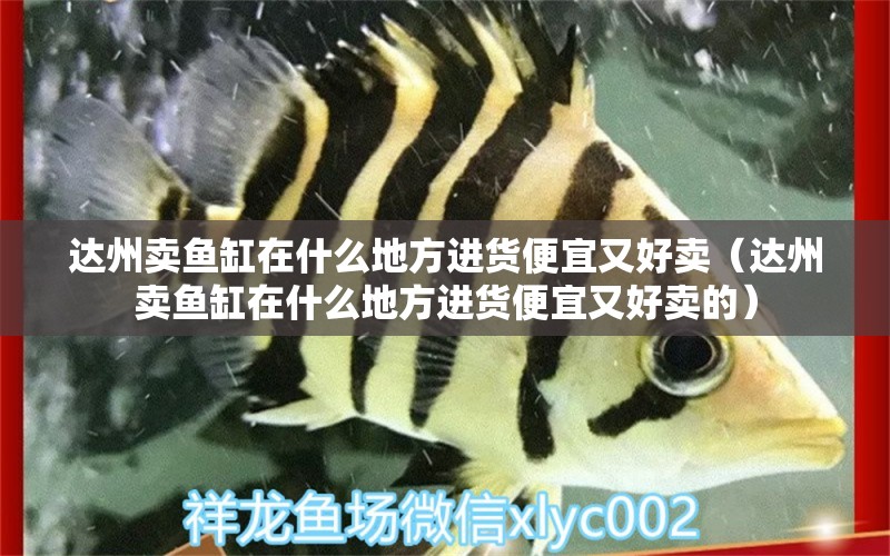 達州賣魚缸在什么地方進貨便宜又好賣（達州賣魚缸在什么地方進貨便宜又好賣的）