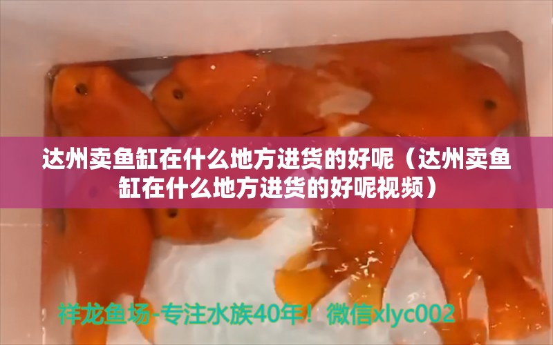 達州賣魚缸在什么地方進貨的好呢（達州賣魚缸在什么地方進貨的好呢視頻） 祥龍水族醫(yī)院