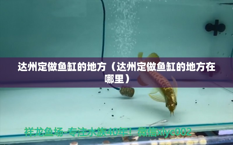 達(dá)州定做魚缸的地方（達(dá)州定做魚缸的地方在哪里） 其他品牌魚缸