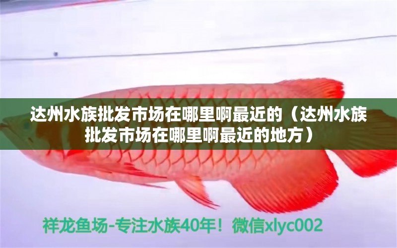 達(dá)州水族批發(fā)市場(chǎng)在哪里啊最近的（達(dá)州水族批發(fā)市場(chǎng)在哪里啊最近的地方） 觀賞魚水族批發(fā)市場(chǎng)