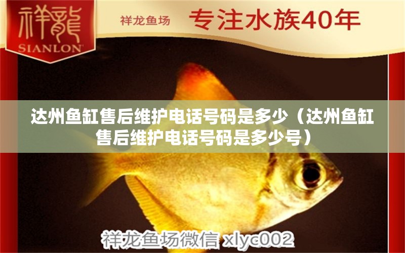 達(dá)州魚(yú)缸售后維護(hù)電話(huà)號(hào)碼是多少（達(dá)州魚(yú)缸售后維護(hù)電話(huà)號(hào)碼是多少號(hào)）