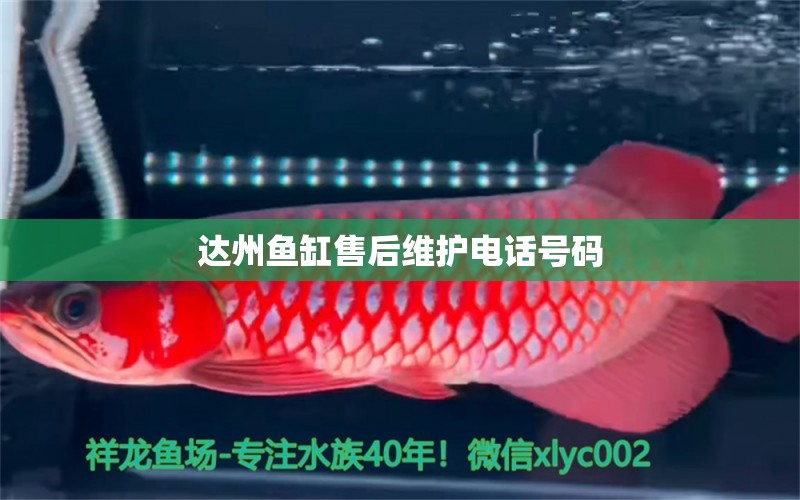 達(dá)州魚(yú)缸售后維護(hù)電話(huà)號(hào)碼