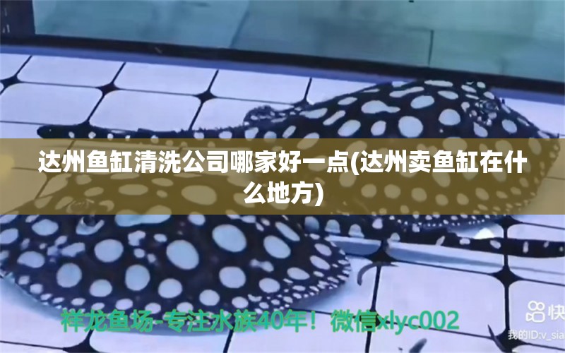 達(dá)州魚缸清洗公司哪家好一點(達(dá)州賣魚缸在什么地方) 銀河星鉆魚