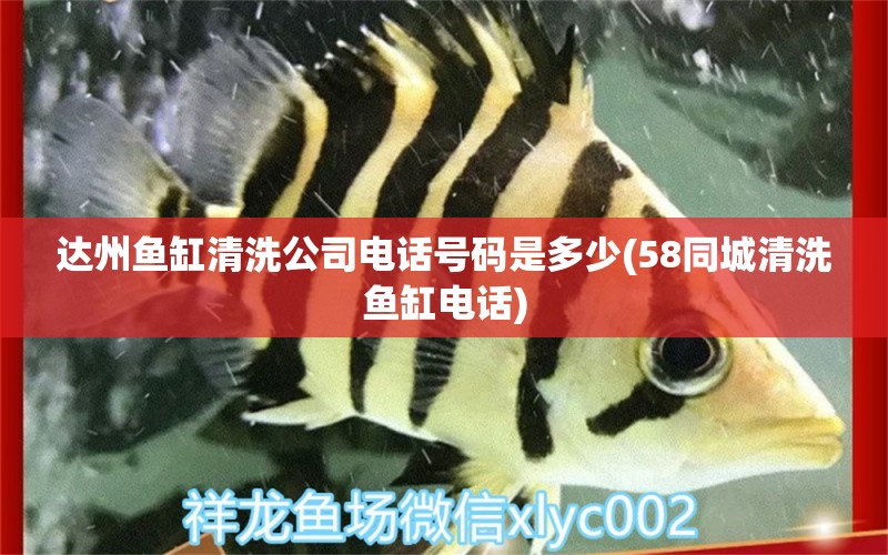 達州魚缸清洗公司電話號碼是多少(58同城清洗魚缸電話)