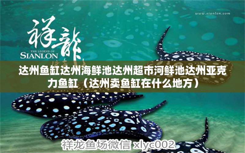 達(dá)州魚(yú)缸達(dá)州海鮮池達(dá)州超市河鮮池達(dá)州亞克力魚(yú)缸（達(dá)州賣(mài)魚(yú)缸在什么地方）