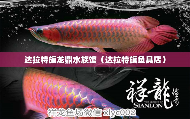 達(dá)拉特旗龍鼎水族館（達(dá)拉特旗魚具店） 全國水族館企業(yè)名錄