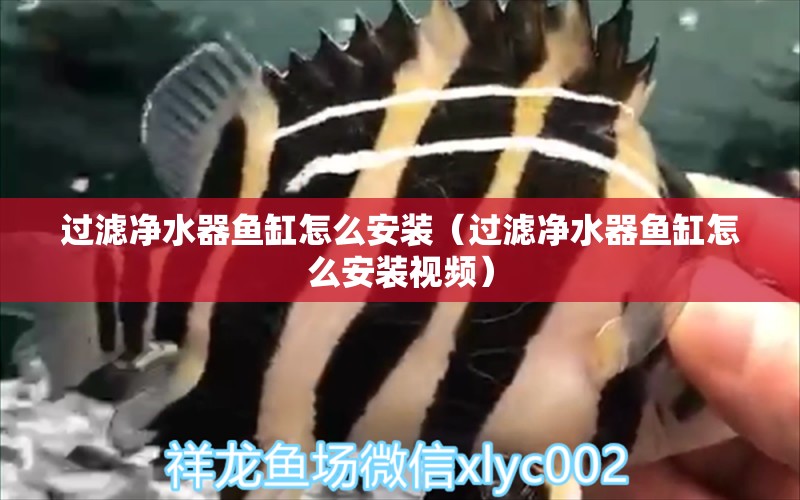 過(guò)濾凈水器魚(yú)缸怎么安裝（過(guò)濾凈水器魚(yú)缸怎么安裝視頻）