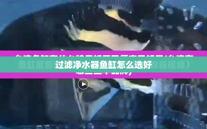 過(guò)濾凈水器魚(yú)缸怎么選好 水族問(wèn)答 第2張