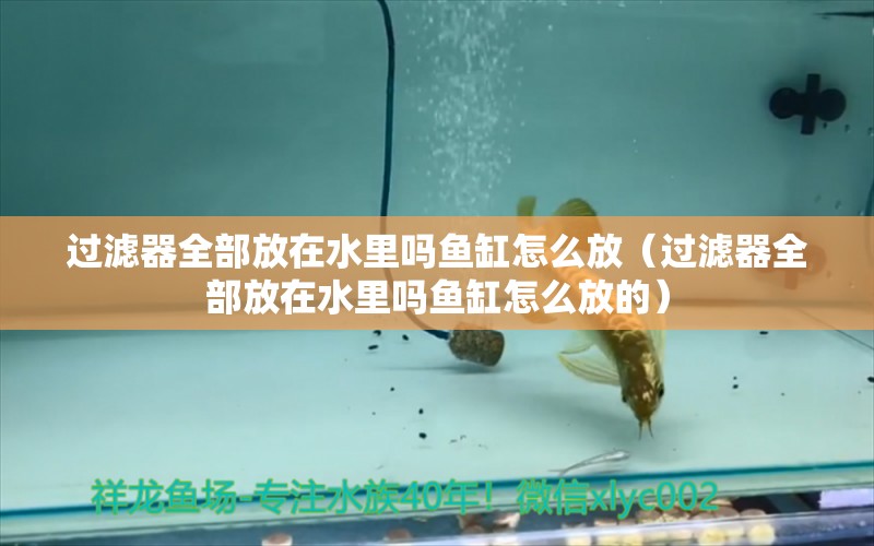 過濾器全部放在水里嗎魚缸怎么放（過濾器全部放在水里嗎魚缸怎么放的） 祥龍水族醫(yī)院