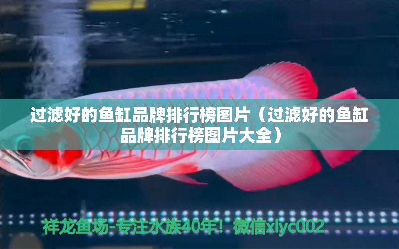 過(guò)濾好的魚(yú)缸品牌排行榜圖片（過(guò)濾好的魚(yú)缸品牌排行榜圖片大全）