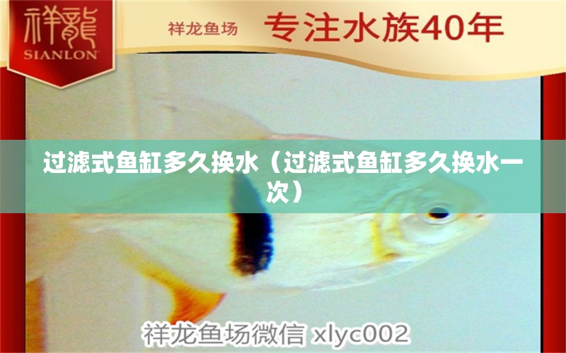 過濾式魚缸多久換水（過濾式魚缸多久換水一次）