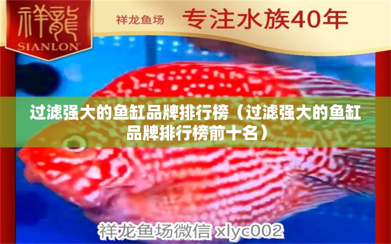 過濾強大的魚缸品牌排行榜（過濾強大的魚缸品牌排行榜前十名） 祥龍水族醫(yī)院