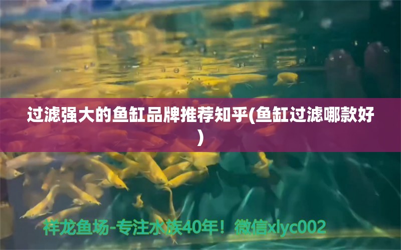 過濾強(qiáng)大的魚缸品牌推薦知乎(魚缸過濾哪款好) 豬鼻龜百科 第1張