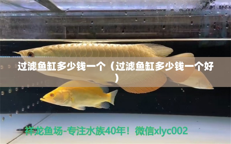 過濾魚缸多少錢一個(gè)（過濾魚缸多少錢一個(gè)好） 海水魚（海水魚批發(fā)）