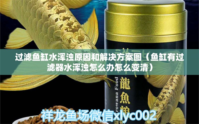 過濾魚缸水渾濁原因和解決方案圖（魚缸有過濾器水渾濁怎么辦怎么變清） 觀賞魚批發(fā)