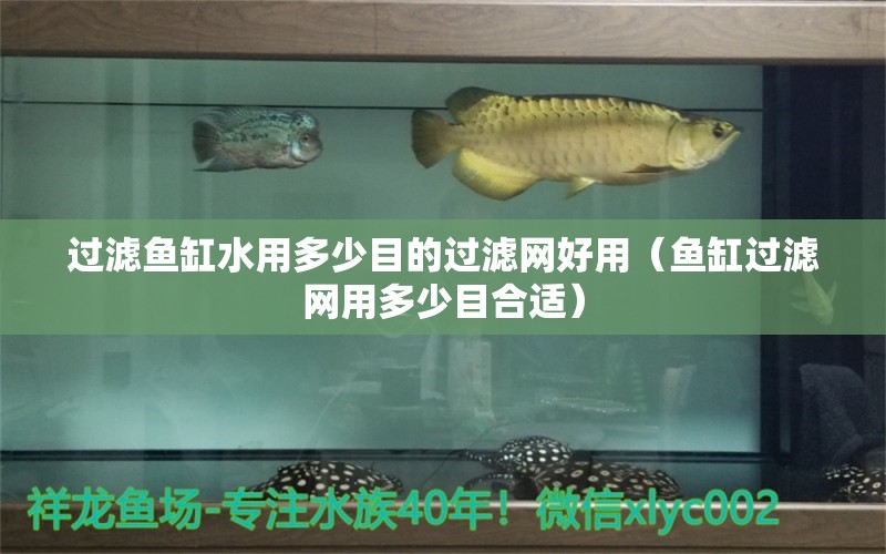 過濾魚缸水用多少目的過濾網(wǎng)好用（魚缸過濾網(wǎng)用多少目合適） 白寫錦鯉魚