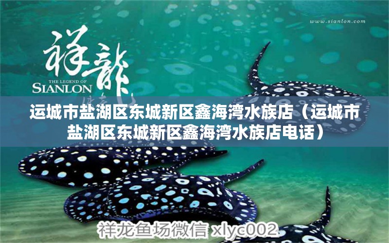 運城市鹽湖區(qū)東城新區(qū)鑫海灣水族店（運城市鹽湖區(qū)東城新區(qū)鑫海灣水族店電話）