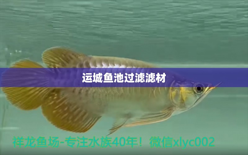 運城魚池過濾濾材 廣州水族器材濾材批發(fā)市場