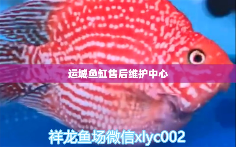 運(yùn)城魚缸售后維護(hù)中心