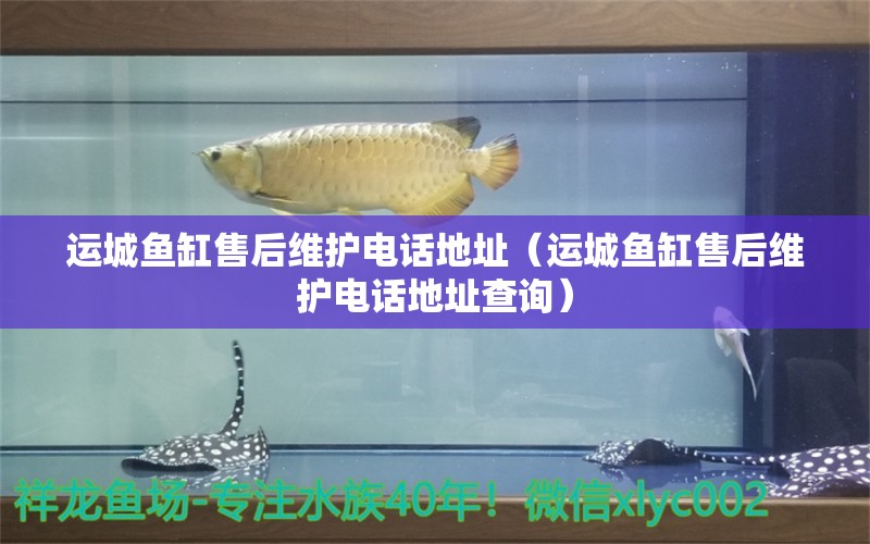 運城魚缸售后維護電話地址（運城魚缸售后維護電話地址查詢）