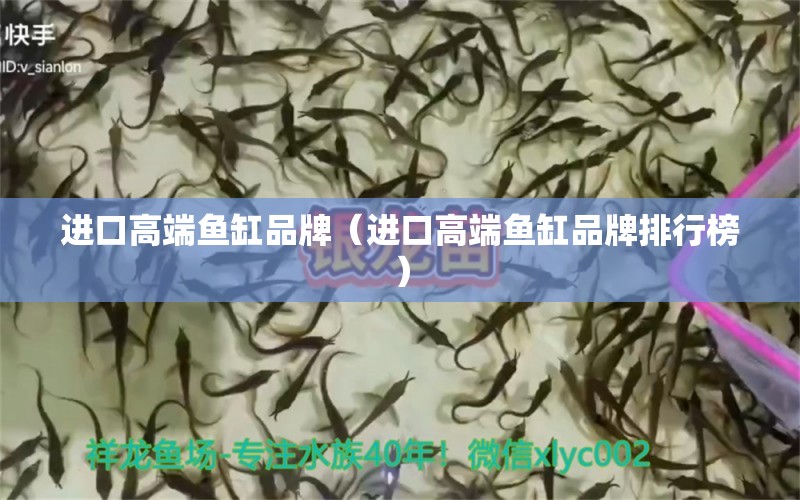 進(jìn)口高端魚缸品牌（進(jìn)口高端魚缸品牌排行榜） iwish愛唯希品牌魚缸