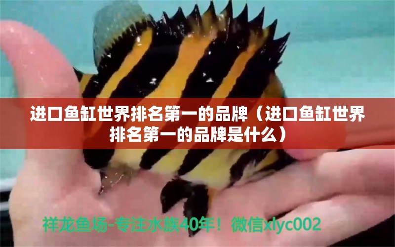 進口魚缸世界排名第一的品牌（進口魚缸世界排名第一的品牌是什么） 祥龍水族醫(yī)院