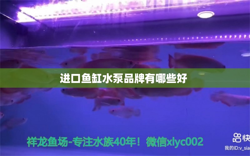 進口魚缸水泵品牌有哪些好 