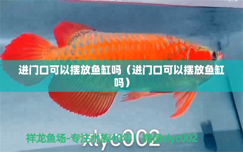 進門口可以擺放魚缸嗎（進門口可以擺放魚缸嗎）