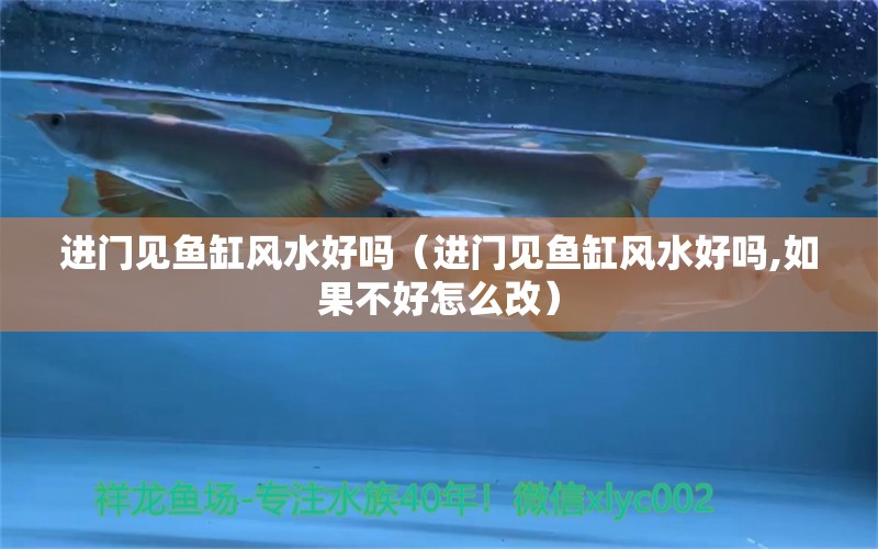 進門見魚缸風水好嗎（進門見魚缸風水好嗎,如果不好怎么改） 魚缸風水