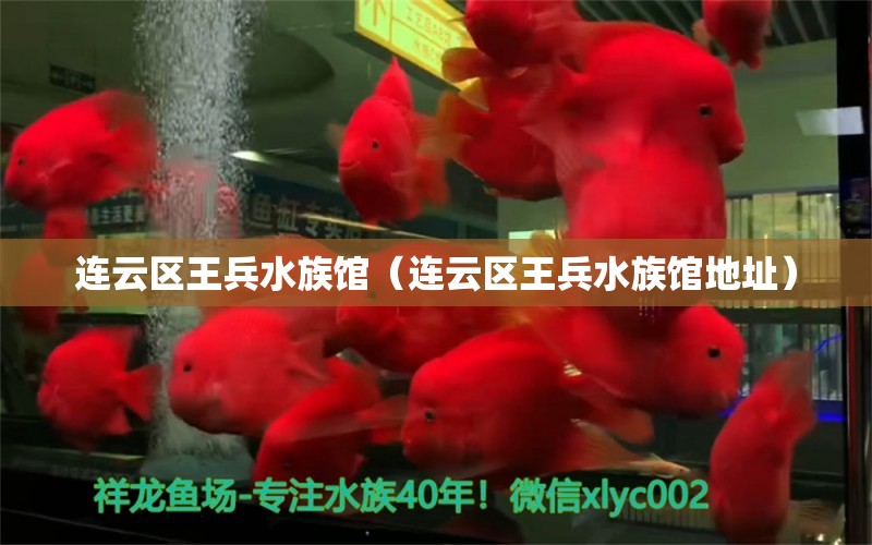 連云區(qū)王兵水族館（連云區(qū)王兵水族館地址） 全國水族館企業(yè)名錄