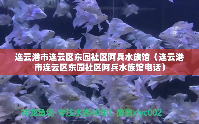 連云港市連云區(qū)東園社區(qū)阿兵水族館（連云港市連云區(qū)東園社區(qū)阿兵水族館電話） 全國水族館企業(yè)名錄