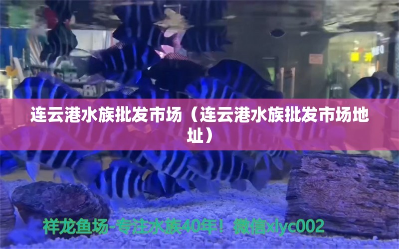 連云港水族批發(fā)市場（連云港水族批發(fā)市場地址）