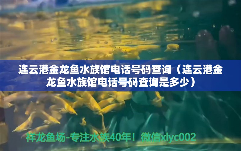 連云港金龍魚水族館電話號(hào)碼查詢（連云港金龍魚水族館電話號(hào)碼查詢是多少）