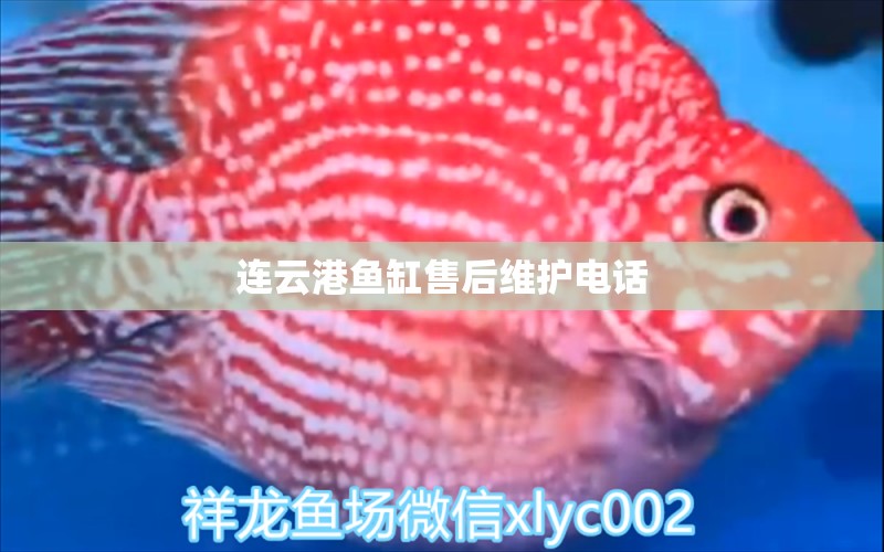 連云港魚缸售后維護(hù)電話 其他品牌魚缸