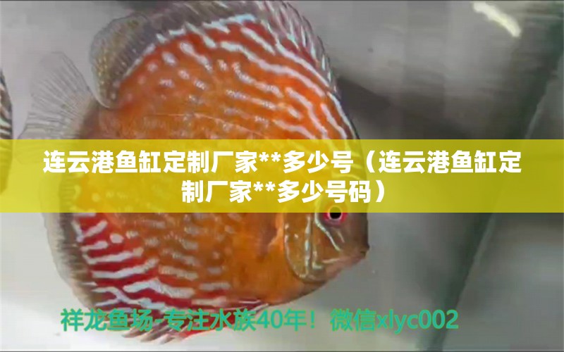 連云港魚缸定制廠家**多少號（連云港魚缸定制廠家**多少號碼） 野彩魚