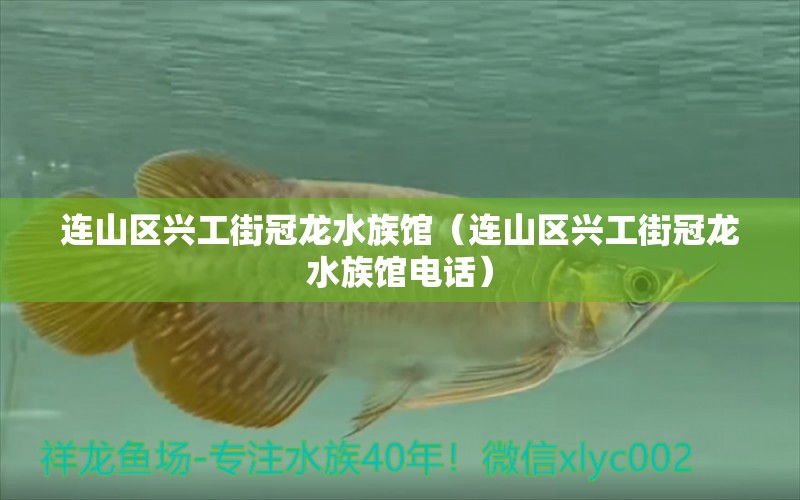 連山區(qū)興工街冠龍水族館（連山區(qū)興工街冠龍水族館電話）