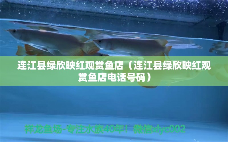 連江縣綠欣映紅觀賞魚店（連江縣綠欣映紅觀賞魚店電話號碼）