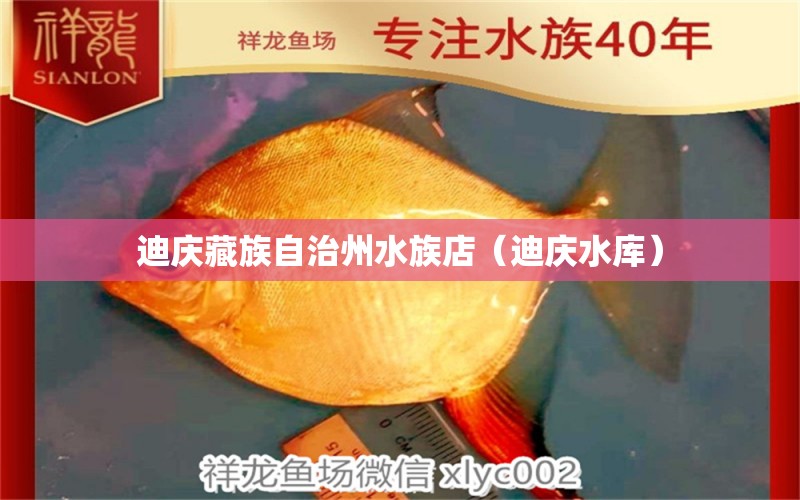 迪慶藏族自治州水族店（迪慶水庫） 觀賞魚市場