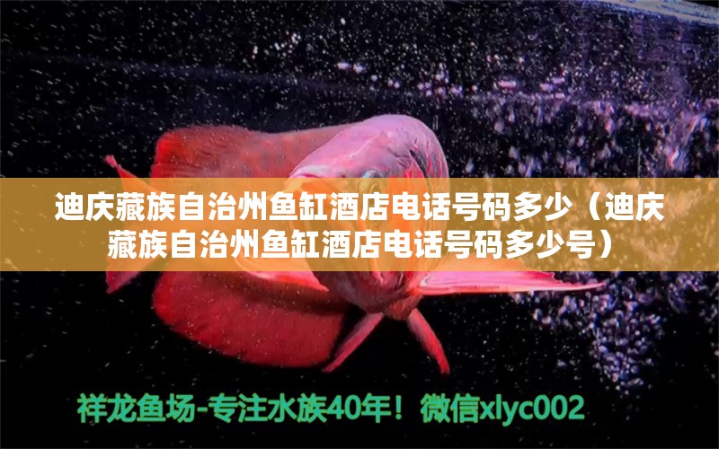 迪慶藏族自治州魚缸酒店電話號碼多少（迪慶藏族自治州魚缸酒店電話號碼多少號）