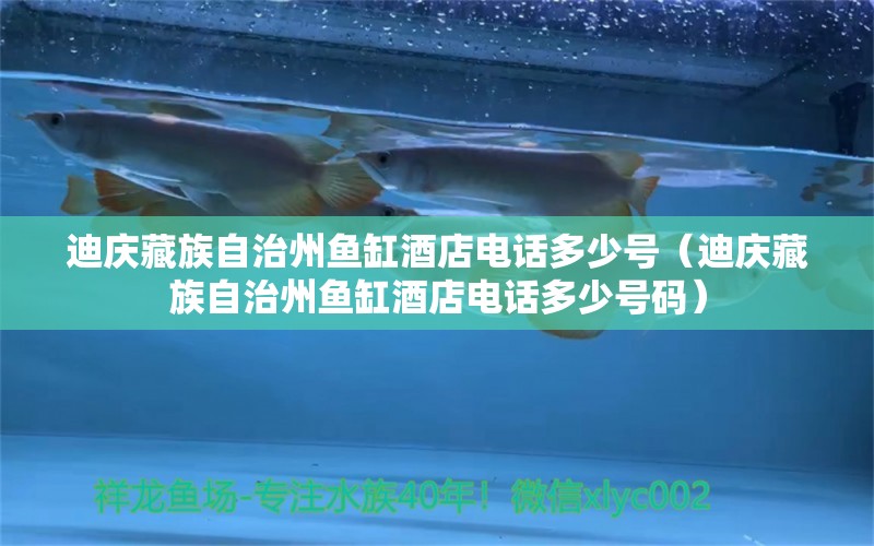 迪慶藏族自治州魚缸酒店電話多少號(hào)（迪慶藏族自治州魚缸酒店電話多少號(hào)碼） 祥龍水族護(hù)理水