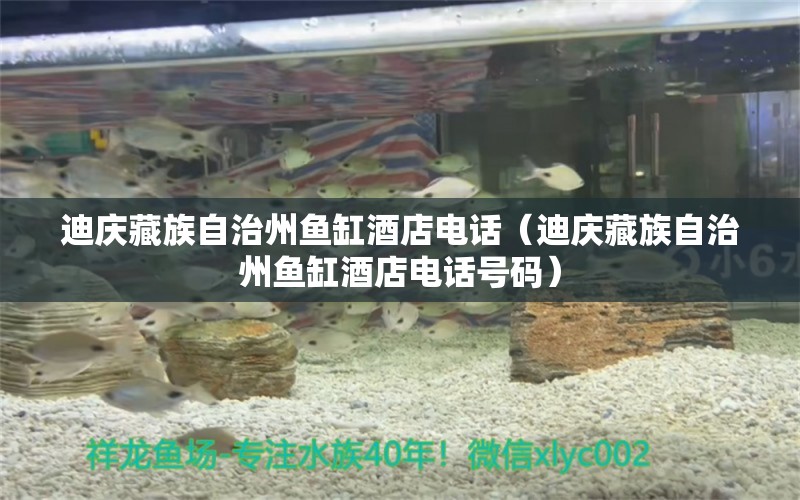 迪慶藏族自治州魚(yú)缸酒店電話（迪慶藏族自治州魚(yú)缸酒店電話號(hào)碼）