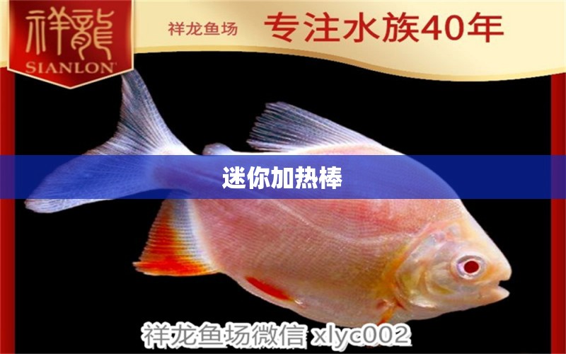 迷你加熱棒 廣州水族器材濾材批發(fā)市場