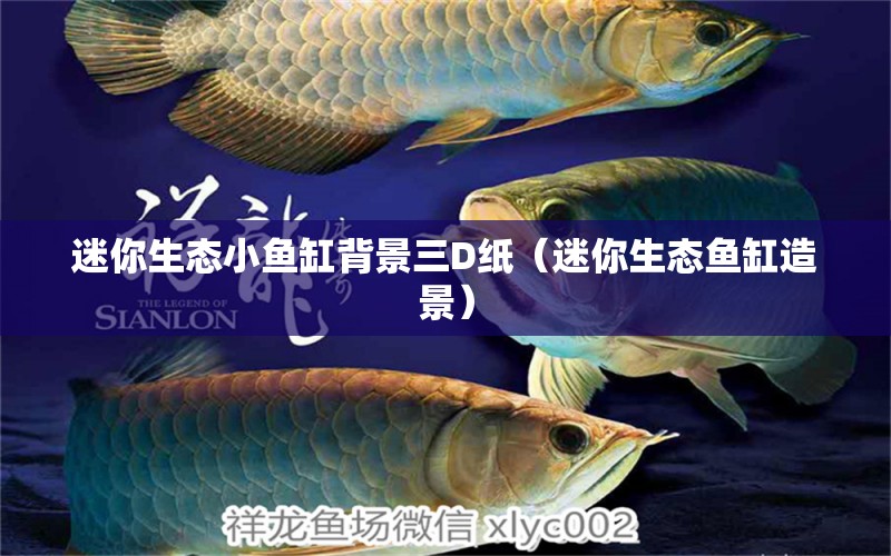 迷你生態(tài)小魚缸背景三D紙（迷你生態(tài)魚缸造景） 白寫錦鯉魚