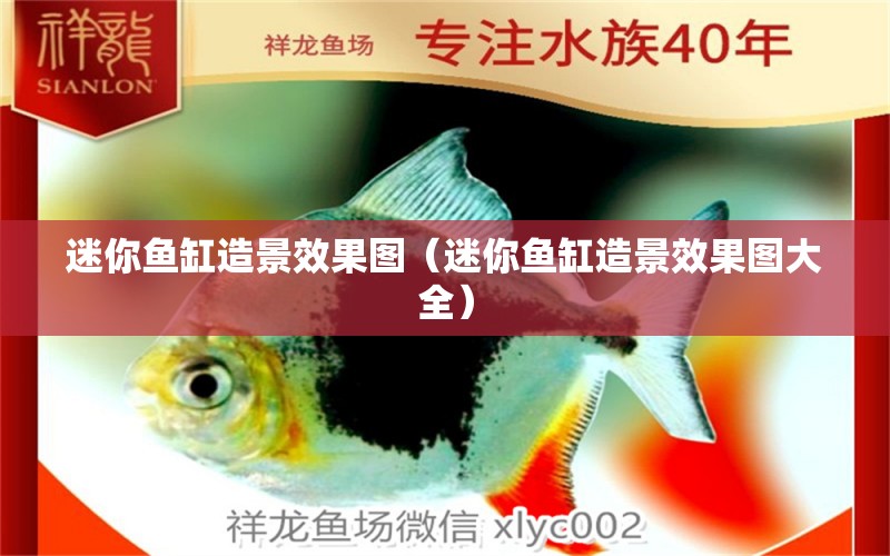 迷你魚缸造景效果圖（迷你魚缸造景效果圖大全）