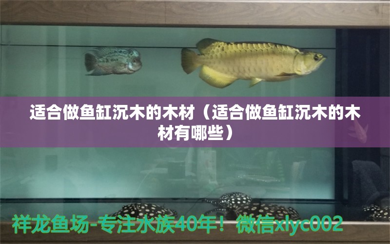 適合做魚缸沉木的木材（適合做魚缸沉木的木材有哪些）