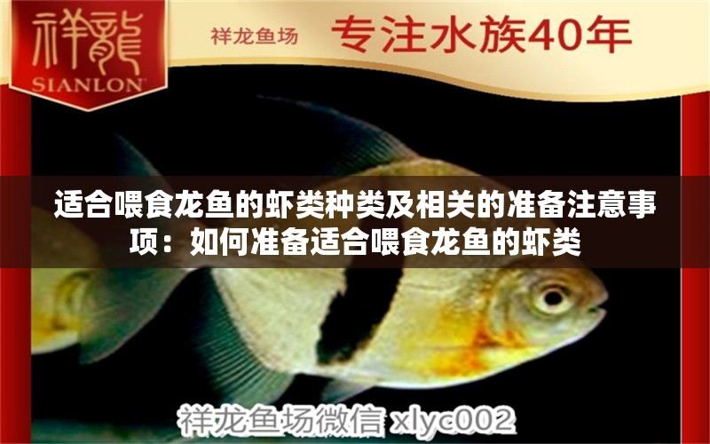 適合喂食龍魚的蝦類種類及相關(guān)的準(zhǔn)備注意事項(xiàng)：如何準(zhǔn)備適合喂食龍魚的蝦類 龍魚百科 第2張