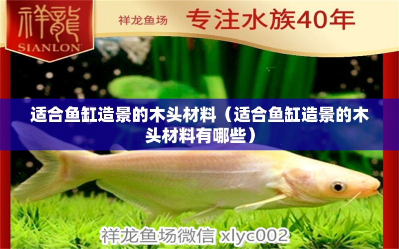 適合魚缸造景的木頭材料（適合魚缸造景的木頭材料有哪些） 其他品牌魚缸